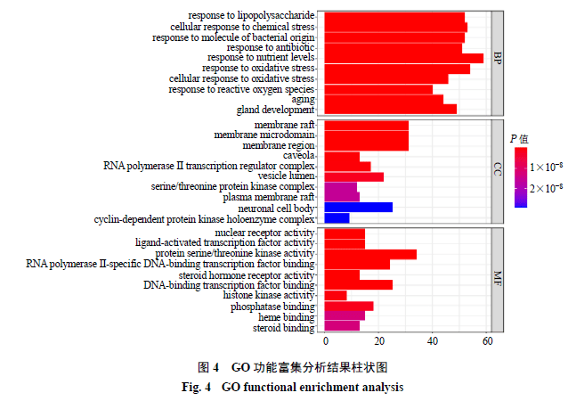 网络信息在网络文化中的权威性探讨